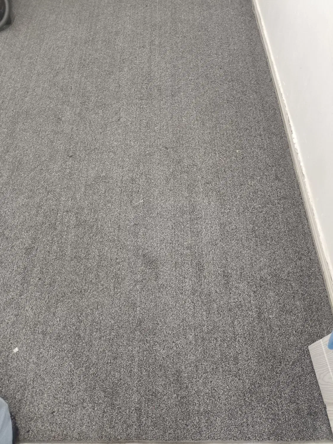 پالاز موکت سه عددفرش اشپز خانه دوعدد|موکت|سیرجان, |دیوار