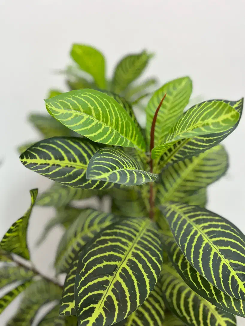 گل و گلدان|گل مصنوعی|گلستان (تهران), |دیوار