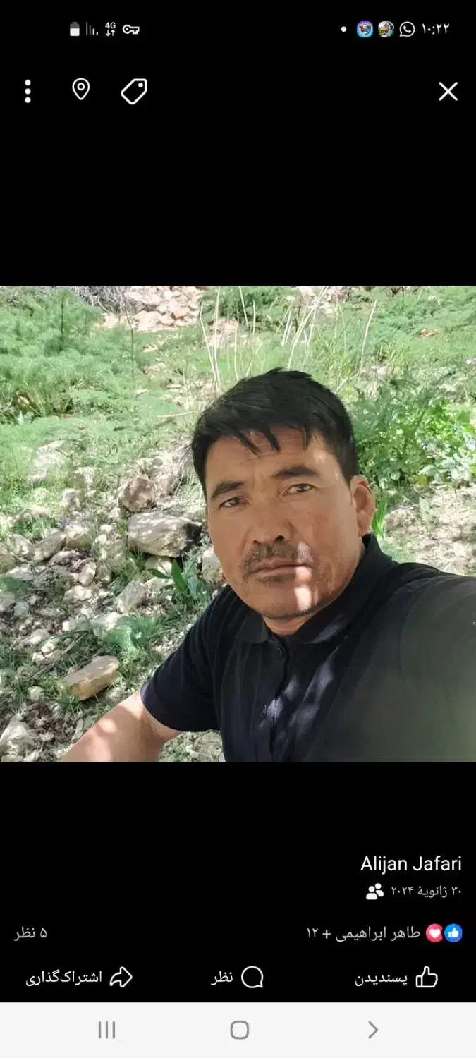 کارگر ساده|خدمات باغبانی و درختکاری|کرج, گلستان|دیوار