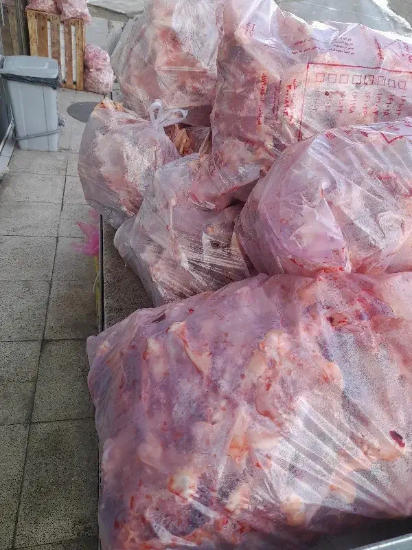 فروش ویژه غذا سگ ، اسکلت|لوازم جانبی حیوانات|بومهن, |دیوار