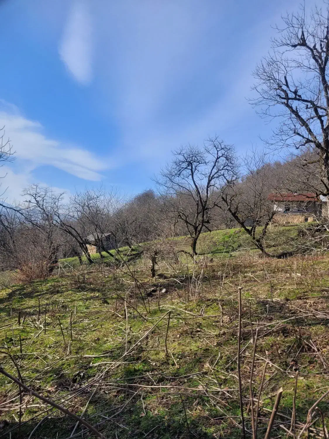 زمین ب متراژ ۴۷۰۰ ویو ابدی|فروش زمین و ملک کلنگی|توتکابن, |دیوار