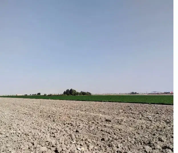 زمین کشاورزی|فروش دفتر صنعتی، کشاورزی، تجاری|مرودشت, ده بید|دیوار