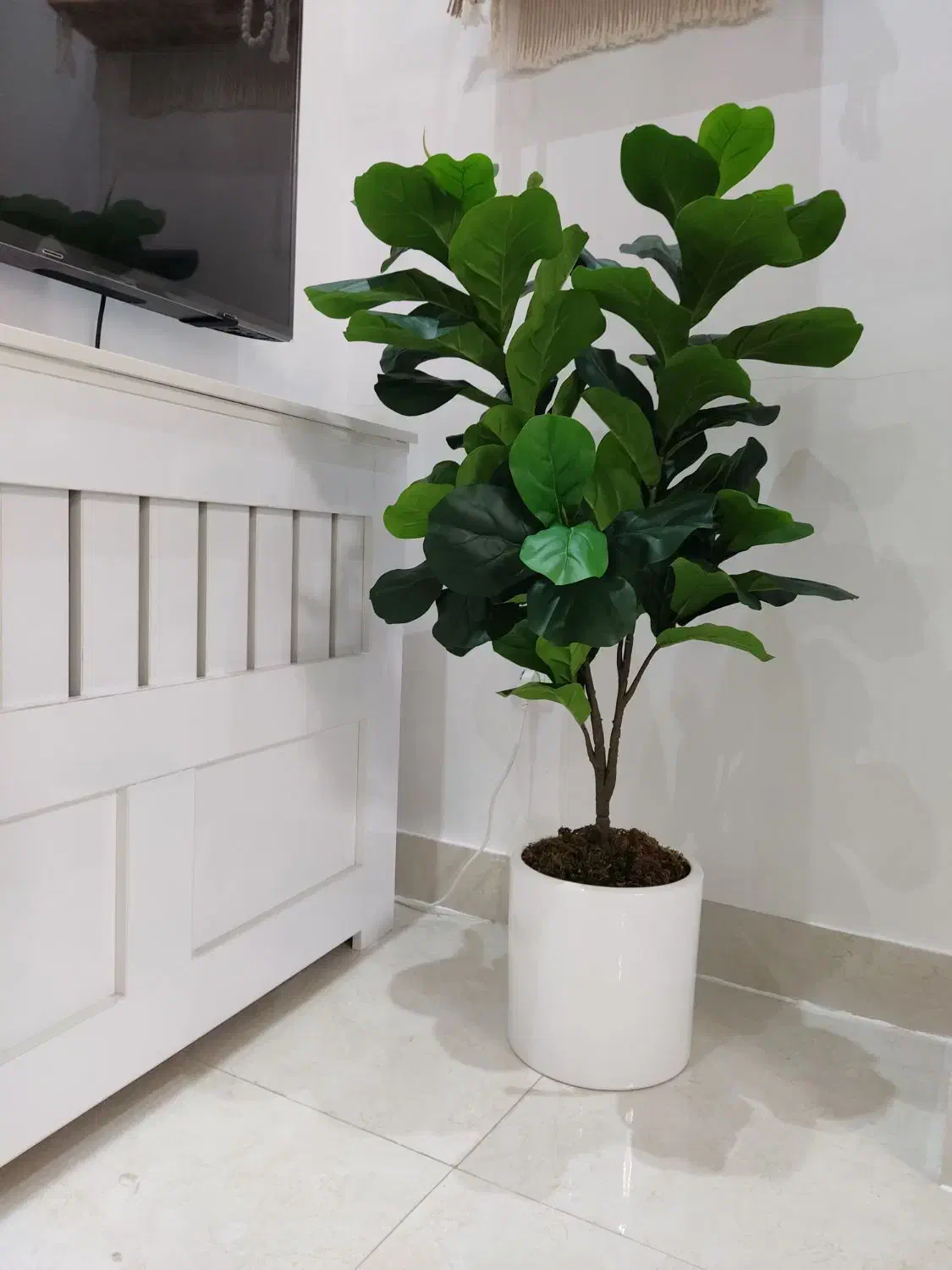 لوازم خانه|حراج|رشت, گلزاران|دیوار