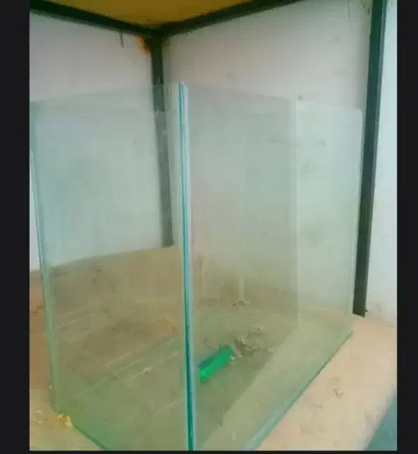 آکواریوم|ماهی|تربت جام, مسکن مهر|دیوار