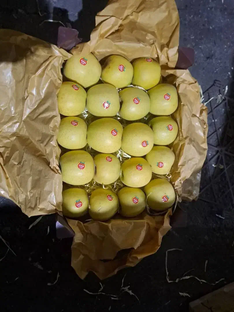 فروش سیب دوردیف|خدمات باغبانی و درختکاری|زیویه, |دیوار