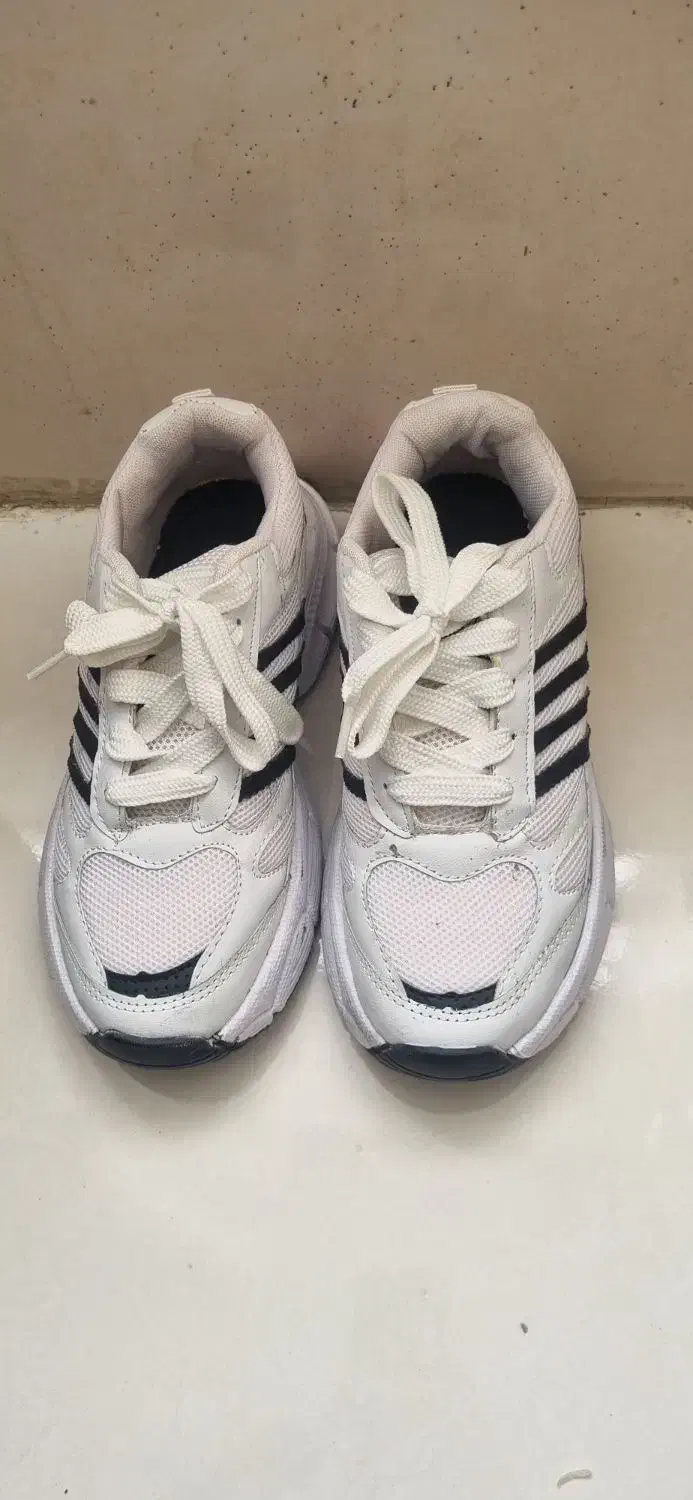 کفش|کیف، کفش، کمربند|شیروان (خراسان), |دیوار