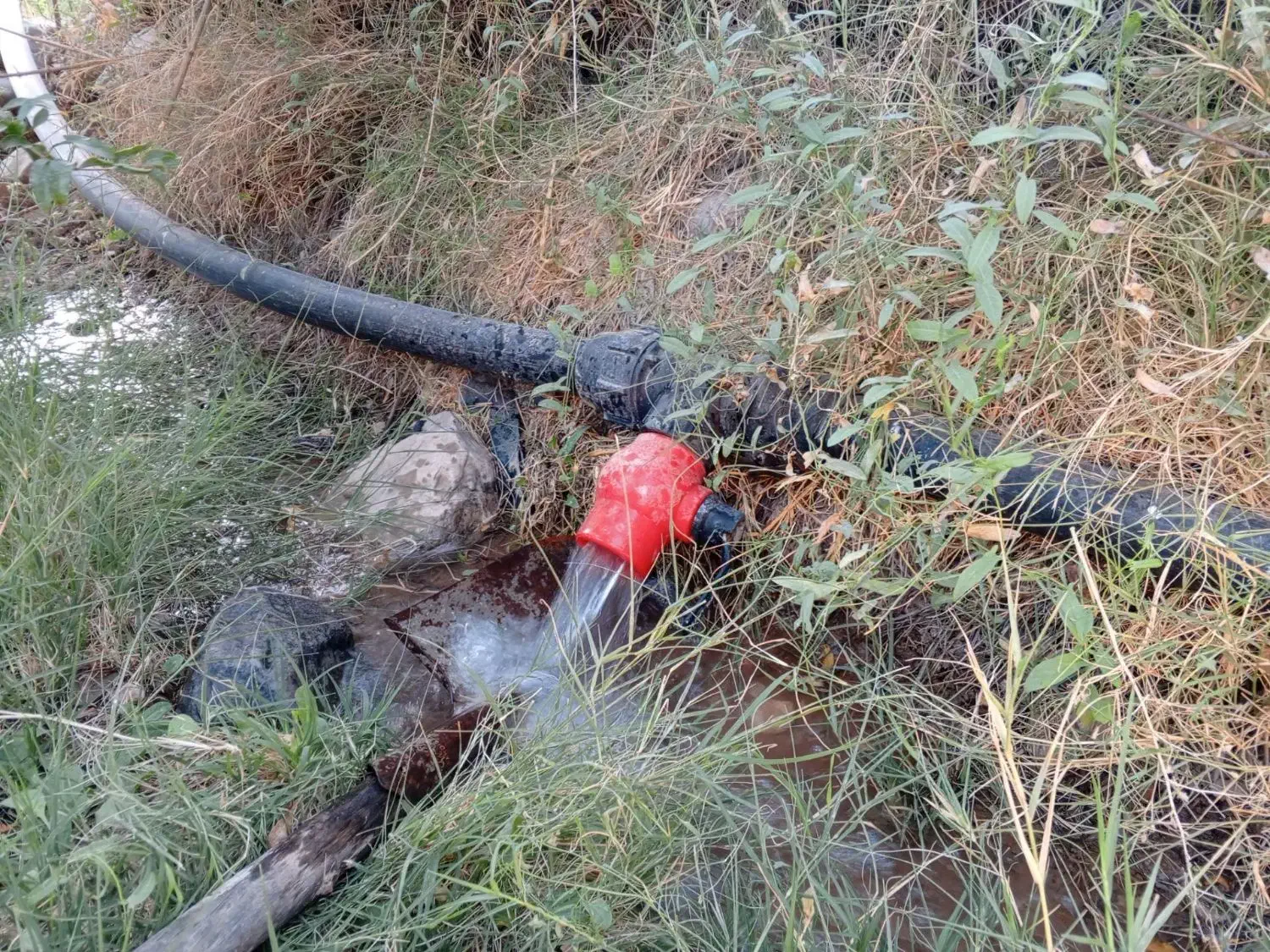 فروش زمین و باغ|فروش زمین و ملک کلنگی|سراب میمه, |دیوار