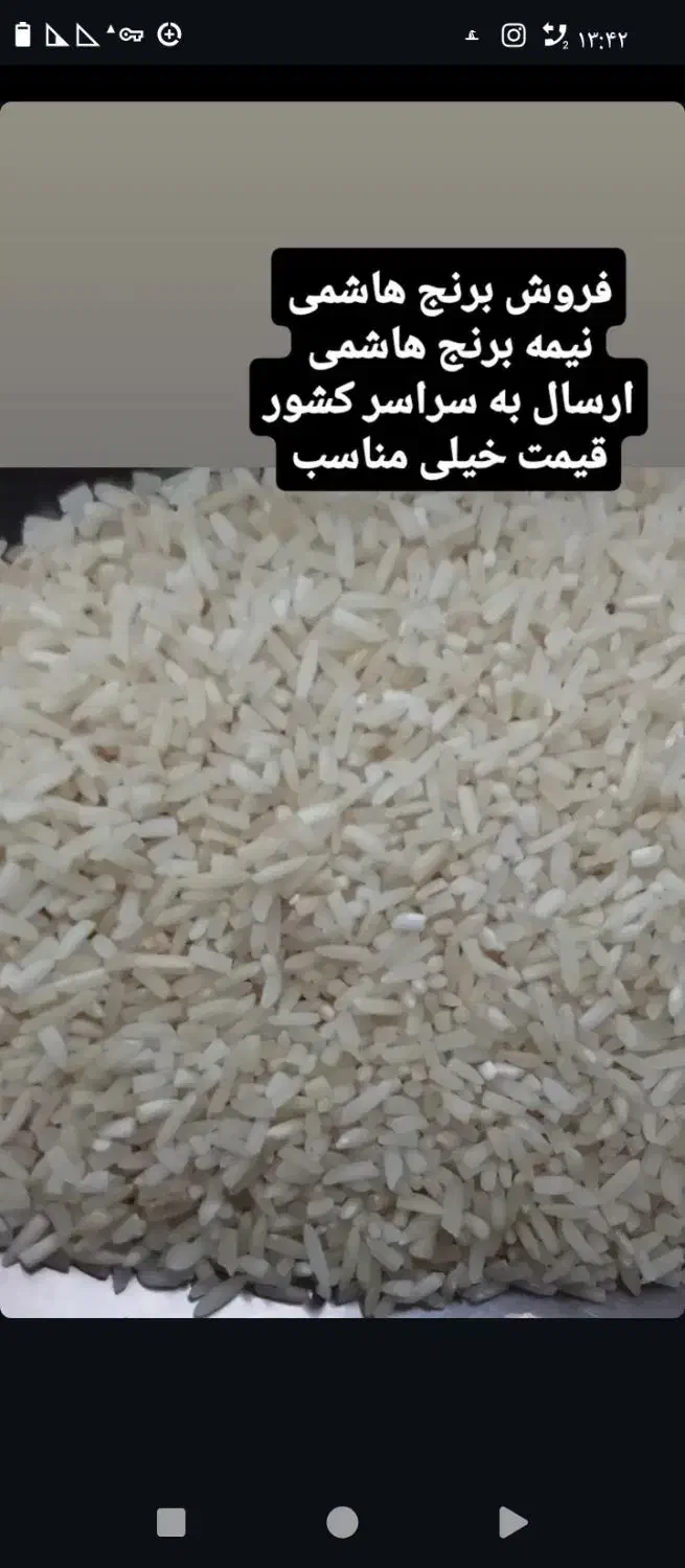 برنج محلی|خوردنی و آشامیدنی|تنکابن, |دیوار