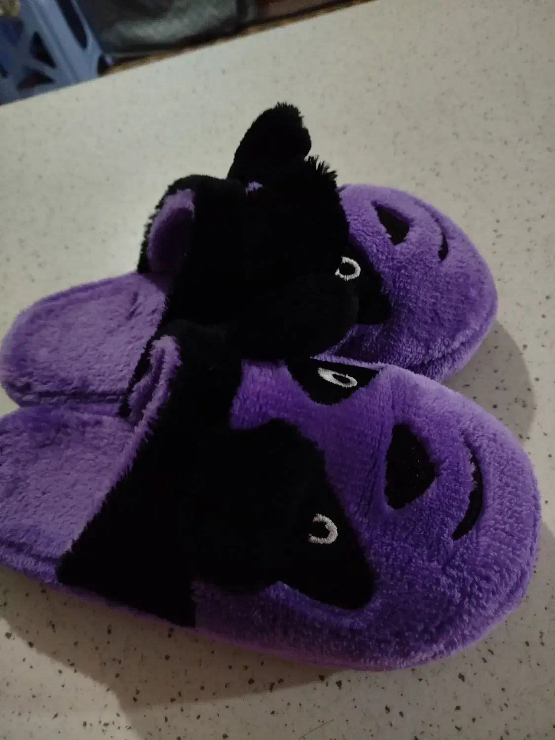 دمپایی راحتی|کیف، کفش، کمربند|قم, جوی شور|دیوار