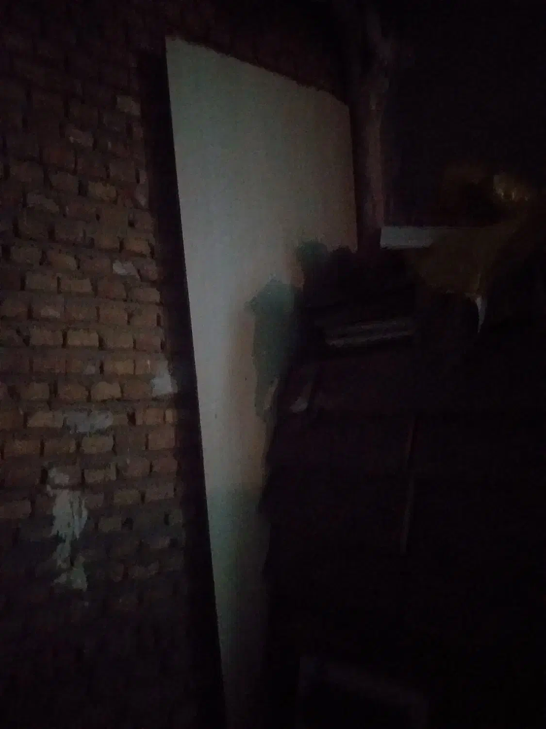 کمد دیواری|جاکفشی، کمد، دراور|ساری, |دیوار