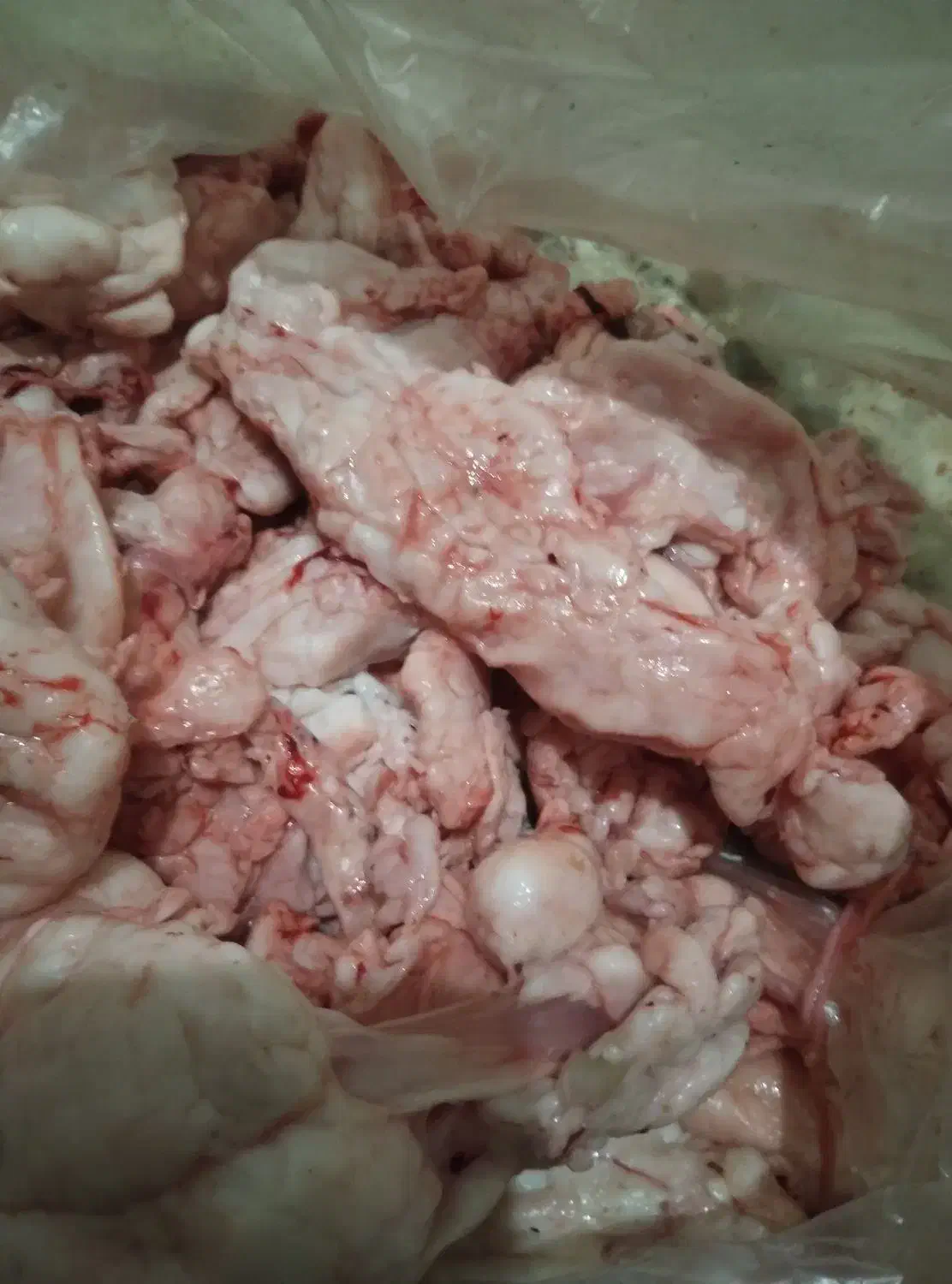 جیگر ،دنبه،کله پاچه.والایشات گوسفند وگاو|خوردنی و آشامیدنی|گالیکش, |دیوار