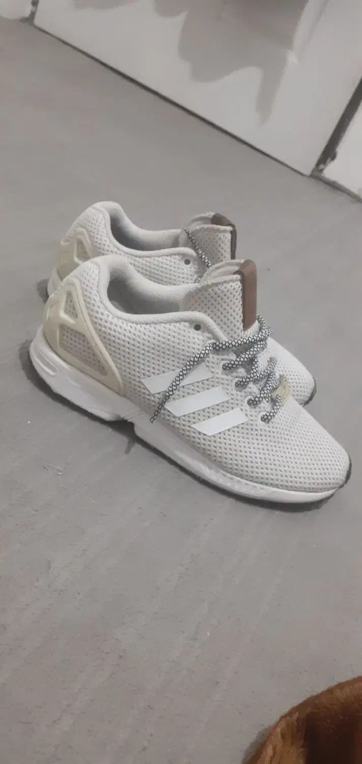 سایز ۳۸ ونیم|کیف، کفش، کمربند|بهارستان, |دیوار