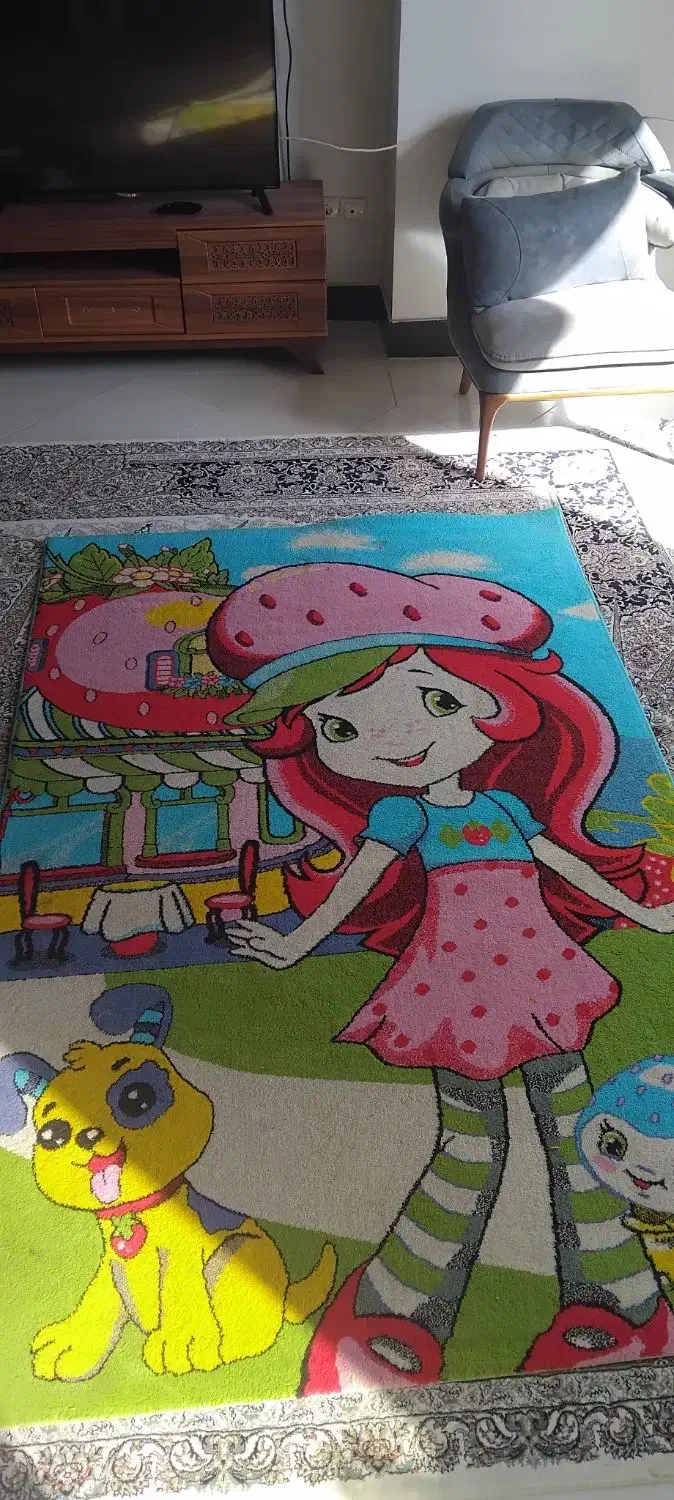 گلیم فرش ۴ متری|گلیم، جاجیم، گبه|فولادشهر, B4|دیوار