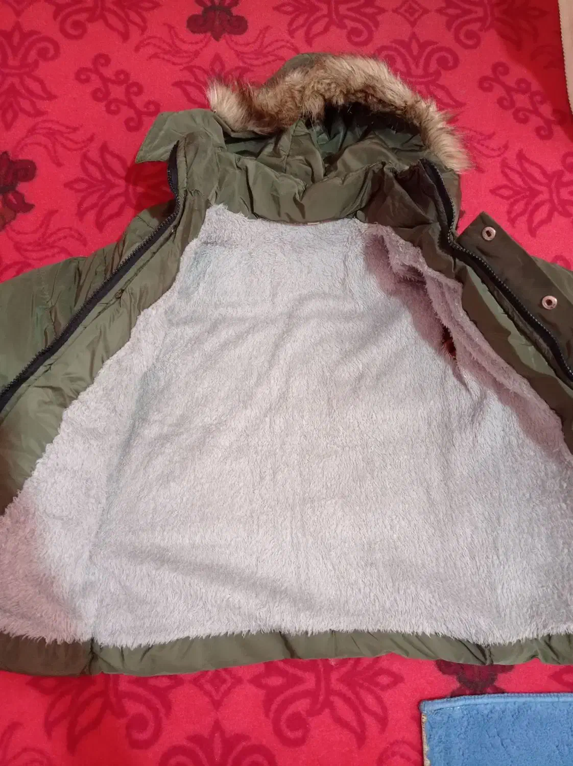 دوتا کاپشن و پالتو دخترانه پسرانه|کفش و لباس بچه|مسجد سلیمان, |دیوار