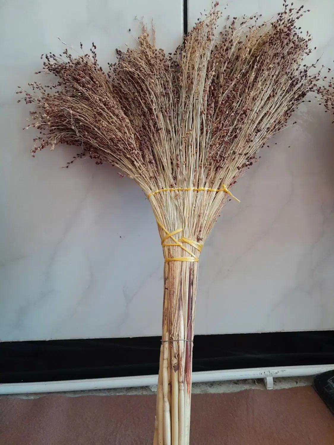 جارو خانگی|لوازم نظافت|ایوان, |دیوار