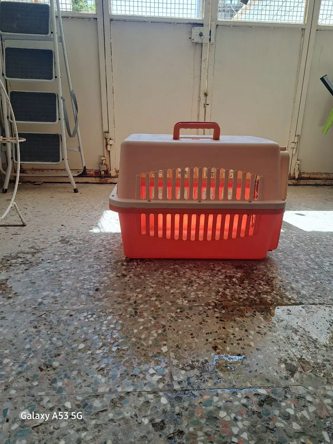 فروش قفس سگ خانگی|لوازم جانبی حیوانات|دوگنبدان, |دیوار