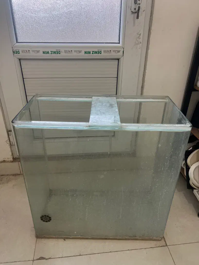 اکواریوم شرکتی شیشه خم|ماهی|اهواز, کیانشهر|دیوار