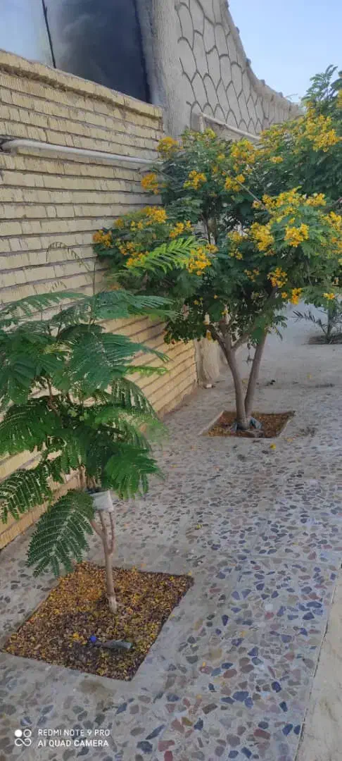 ویلا کنار ساحل بسیار تمیز|اجارهٔ کوتاه‌مدت ویلا و باغ|بندر گناوه, |دیوار