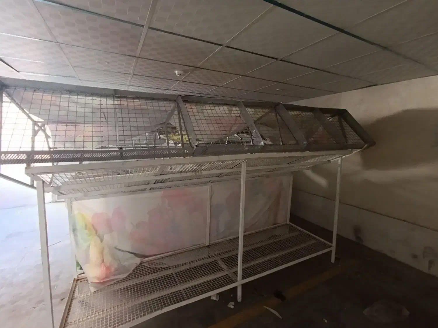 فروش دکور کامل میوه فروشی با میز سبزی|فروشگاه و مغازه|شیراز, شهرک گلستان|دیوار