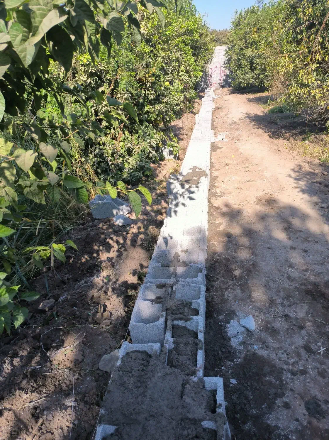 پیمانکاری|خدمات پیشه و مهارت|دزفول, |دیوار