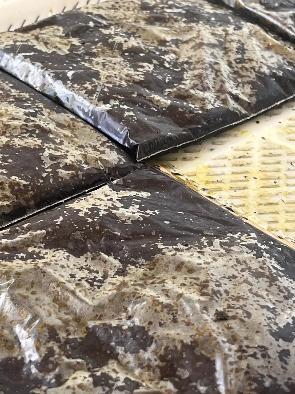 قرمه جنوبی|خوردنی و آشامیدنی|کرج, آق تپه|دیوار