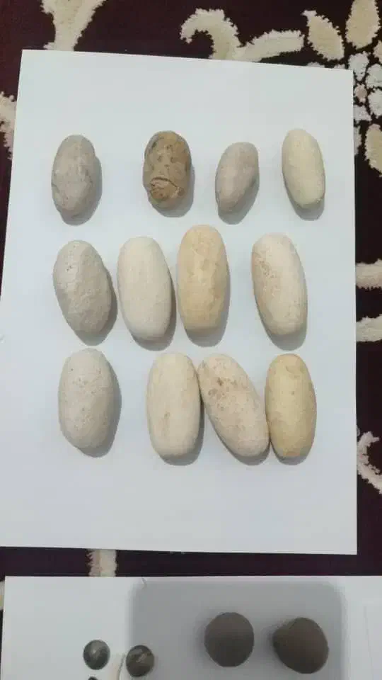 اصل تضمینی|جواهرات|پرند, فاز ۶|دیوار