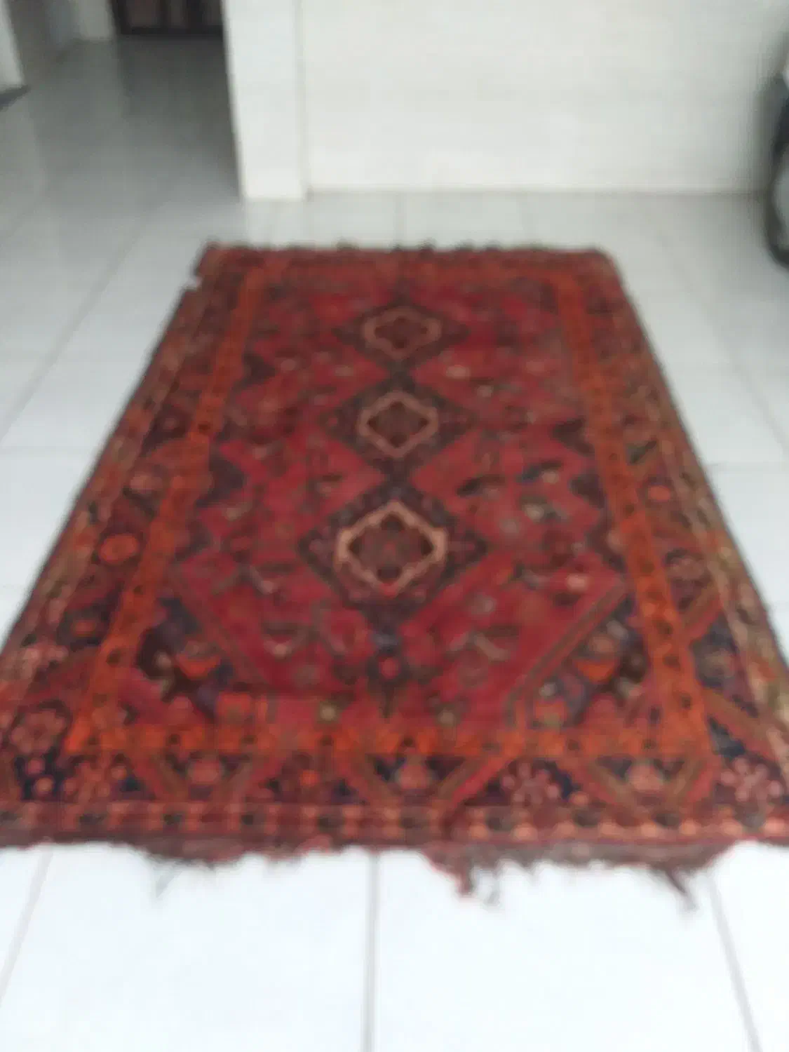 فرش|فرش|شیراز, شهرک بهشتی|دیوار