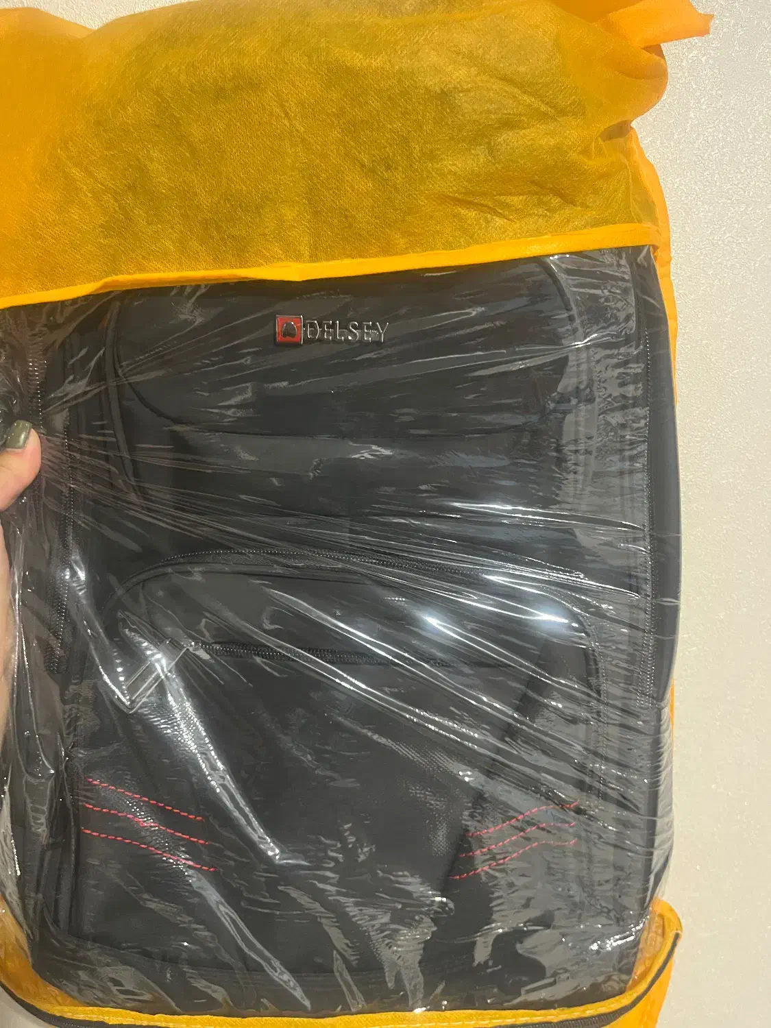 کوله پشتی دلسی|کیف، کفش، کمربند|پردیس, فاز ۱|دیوار