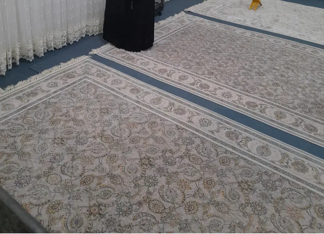 فرش ۶ متری ۱۲۰۰ شانه|فرش|کنگاور, |دیوار