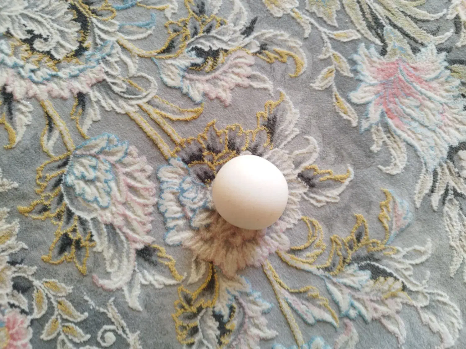 سنگ اسیا|جواهرات|مرودشت, بهارستان|دیوار