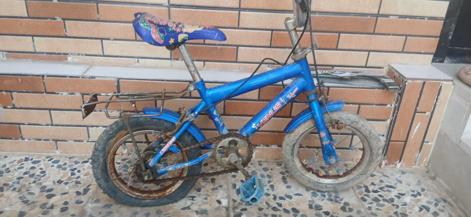 دوچرخه|دوچرخه، اسکیت، اسکوتر|مسجد سلیمان, |دیوار