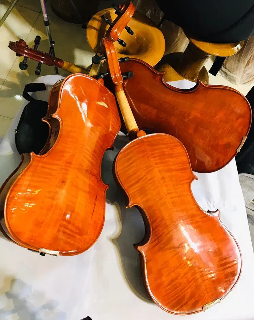 ویولن ویالون مرکز اصلی پخش( فروشگاه آرتا ساز )|ویولن|اردبیل, |دیوار