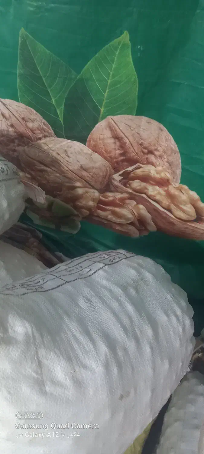 فروش گردو در نمایشگاه|خوردنی و آشامیدنی|بادرود, |دیوار