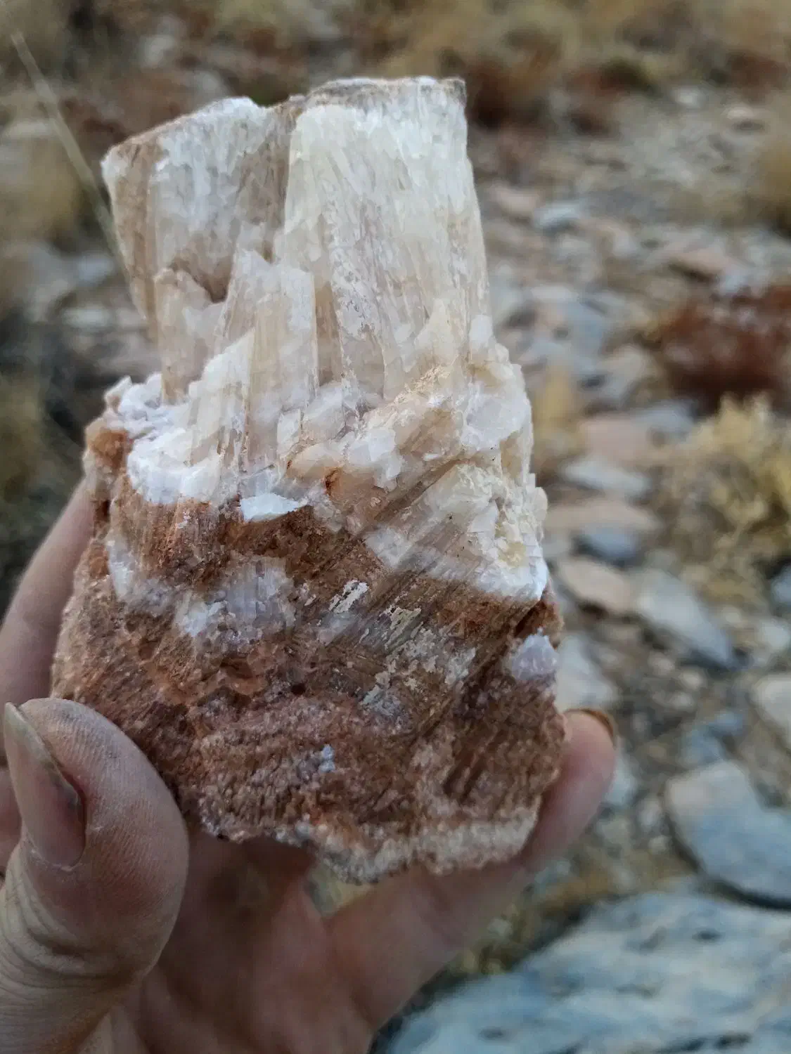 انواع سنگ های زینتی و کمیاب|جواهرات|اراک, |دیوار