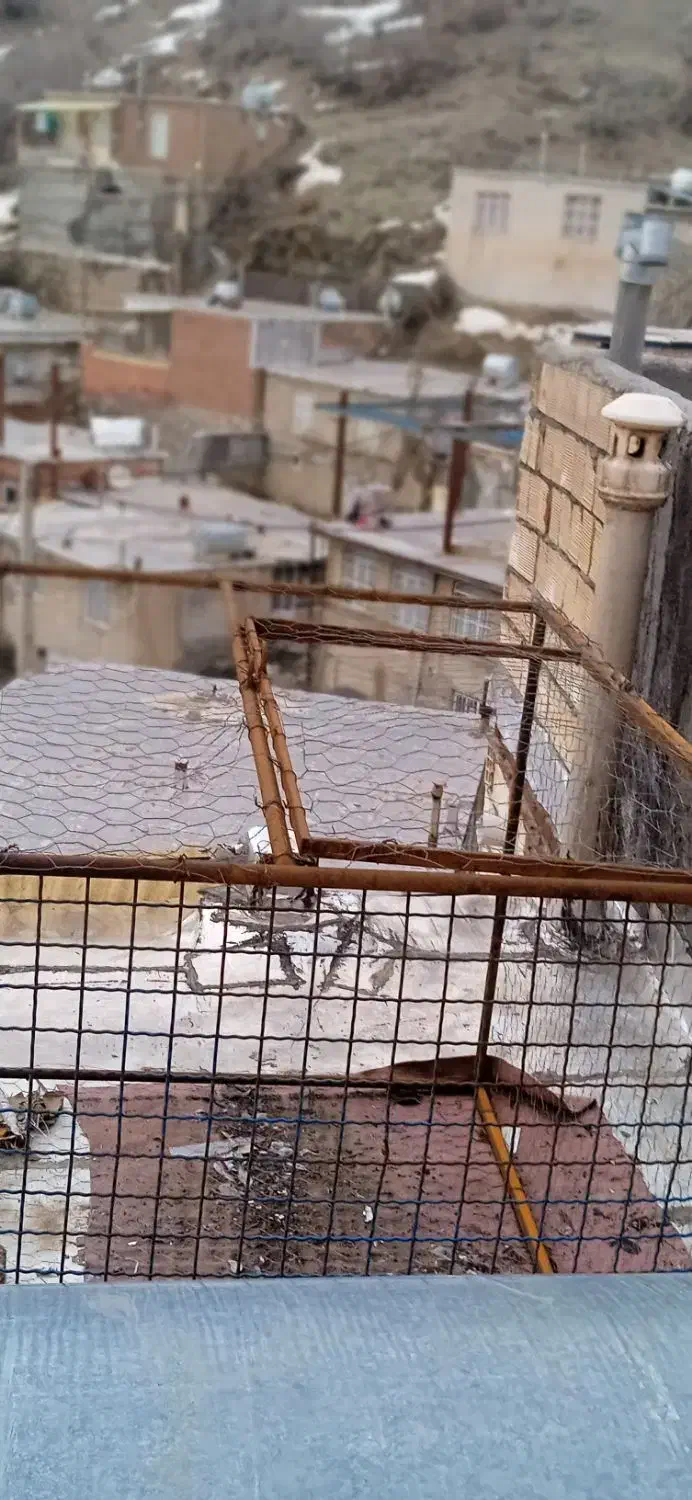 قفس کبو تر|لوازم جانبی حیوانات|مریوان, |دیوار