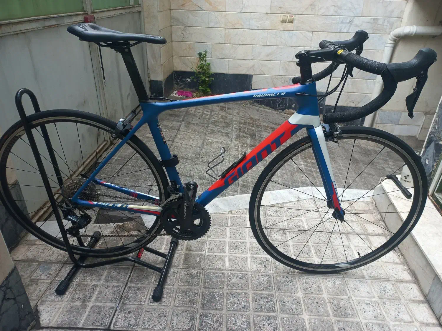 دوچرخه کورسی جاینت|دوچرخه، اسکیت، اسکوتر|تهران, اسکندری|دیوار