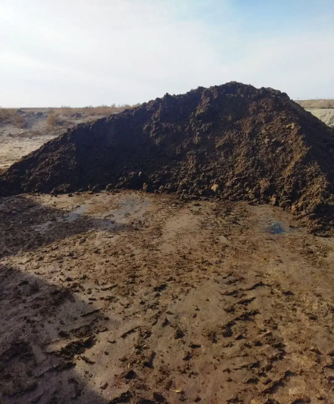 فروش کود حیوانی گاوی سوخته ۳ سال خشک|خدمات باغبانی و درختکاری|گلبهار, شهر جدید گلبهار|دیوار