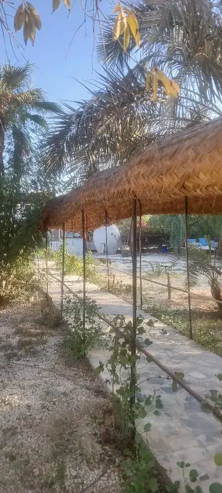 حصیر راه رو|صنایع دستی و سایر لوازم تزئینی|کیش, |دیوار