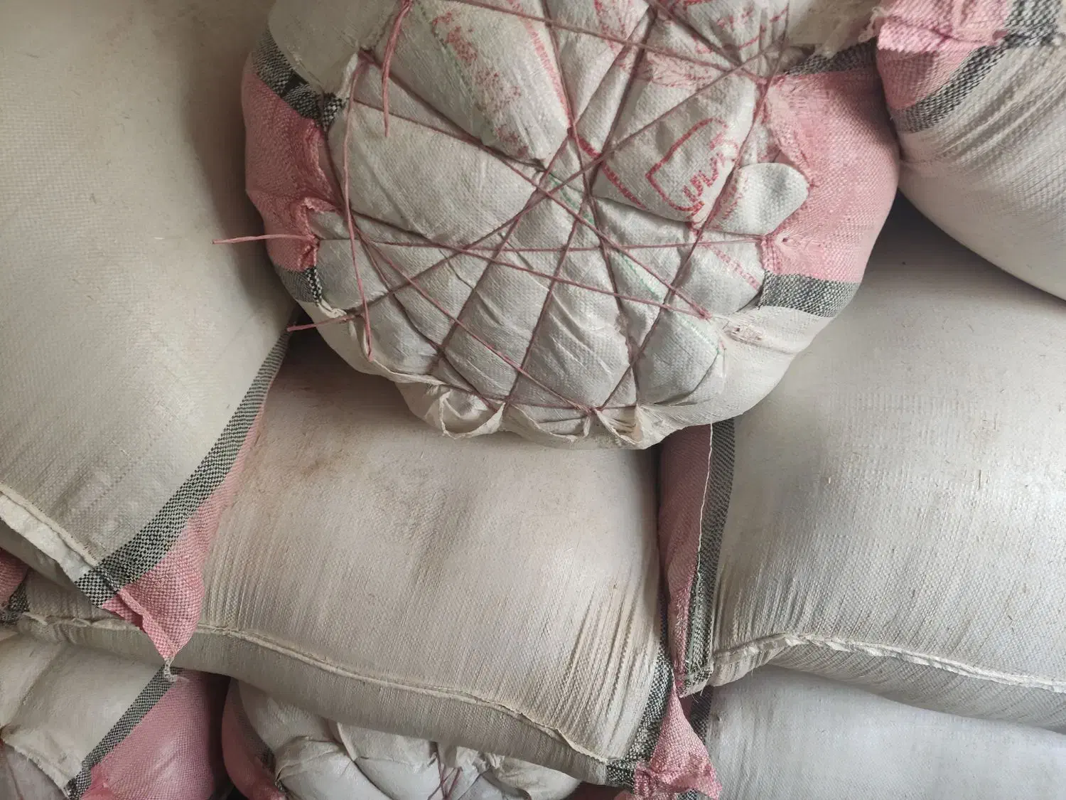 شبدر چین اول پاک|لوازم جانبی حیوانات|شهرکرد, |دیوار