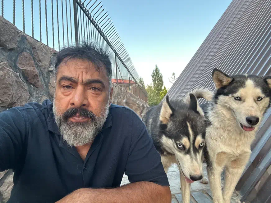 واگذاری هاسکی نر و ماده عقیم شده|سگ|آبعلی, |دیوار