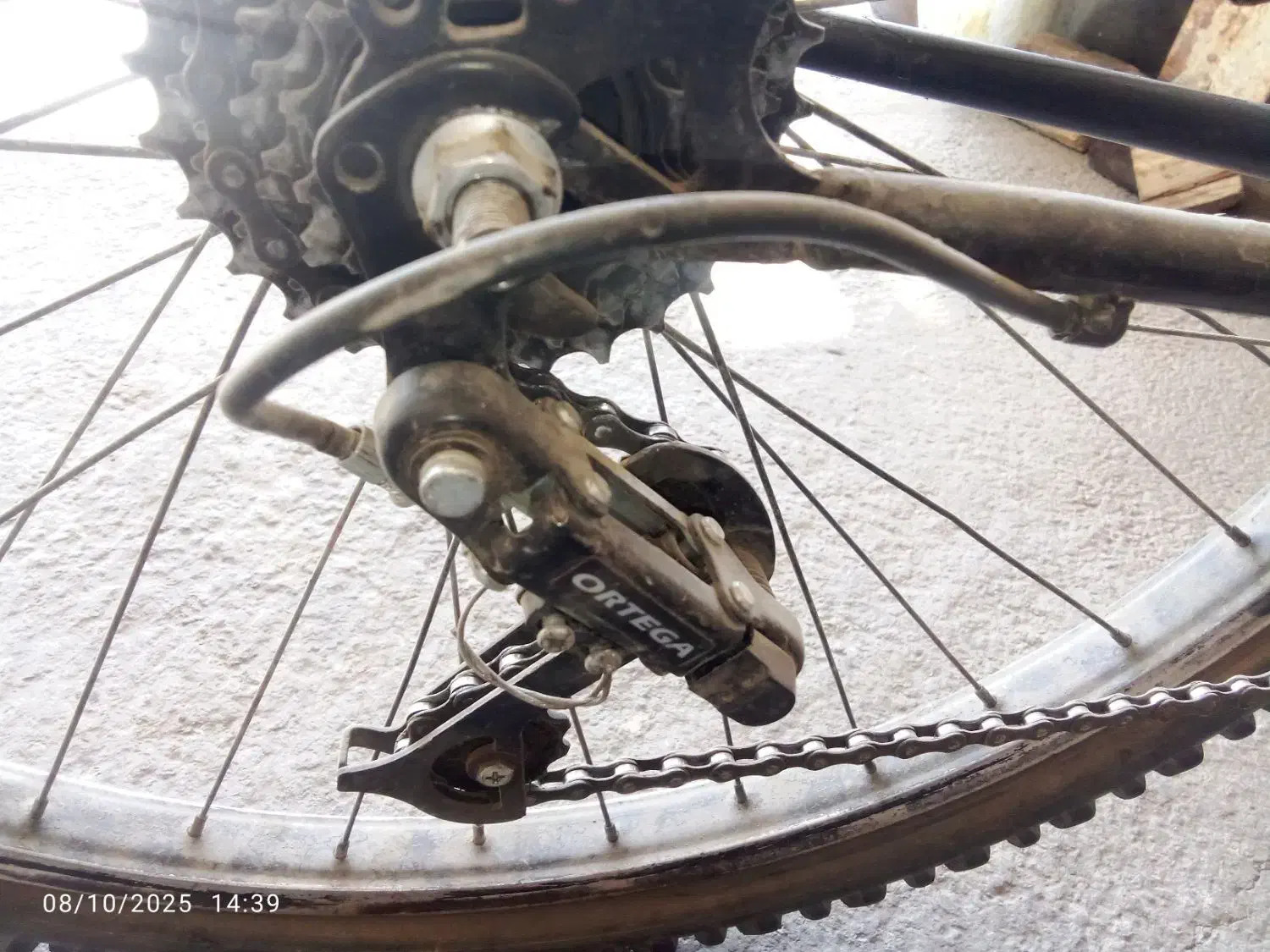 دوچرخه 26ویوا|دوچرخه، اسکیت، اسکوتر|دیواندره, |دیوار