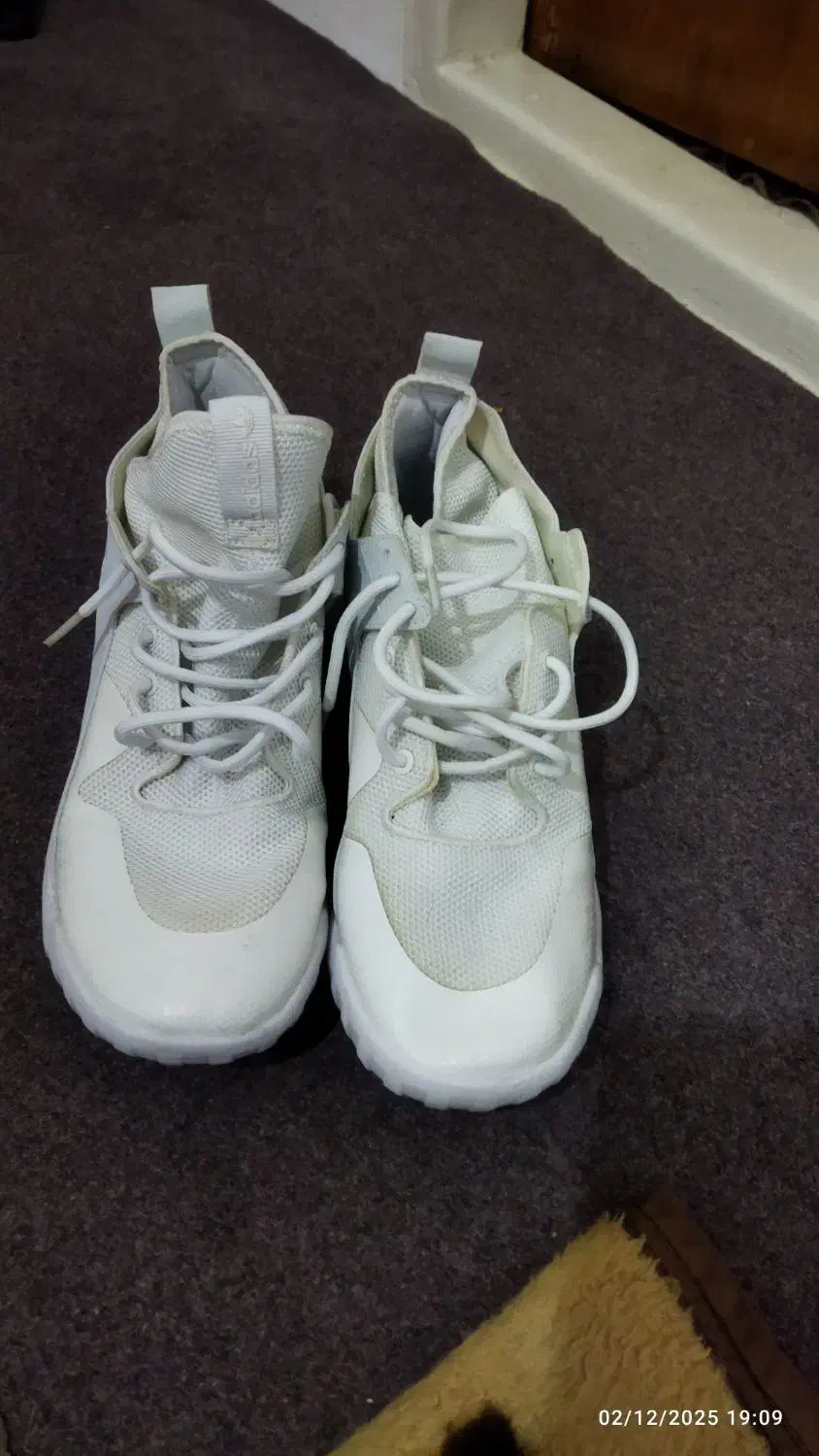 کفش اورجینال ادیداس|کیف، کفش، کمربند|جلفا, |دیوار