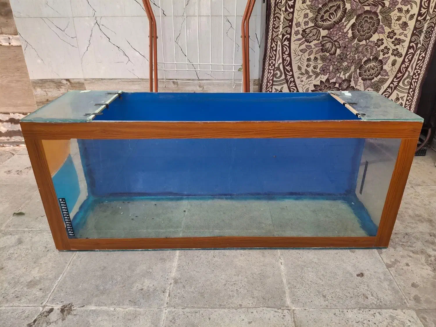 آکواریوم|ماهی|تاکستان, |دیوار