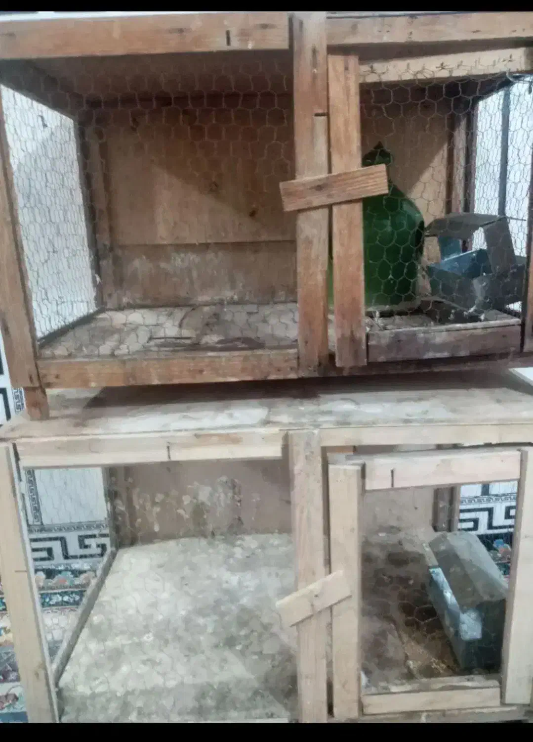 جفت کن کبوتر|لوازم جانبی حیوانات|پاکدشت, شهرک امام رضا|دیوار