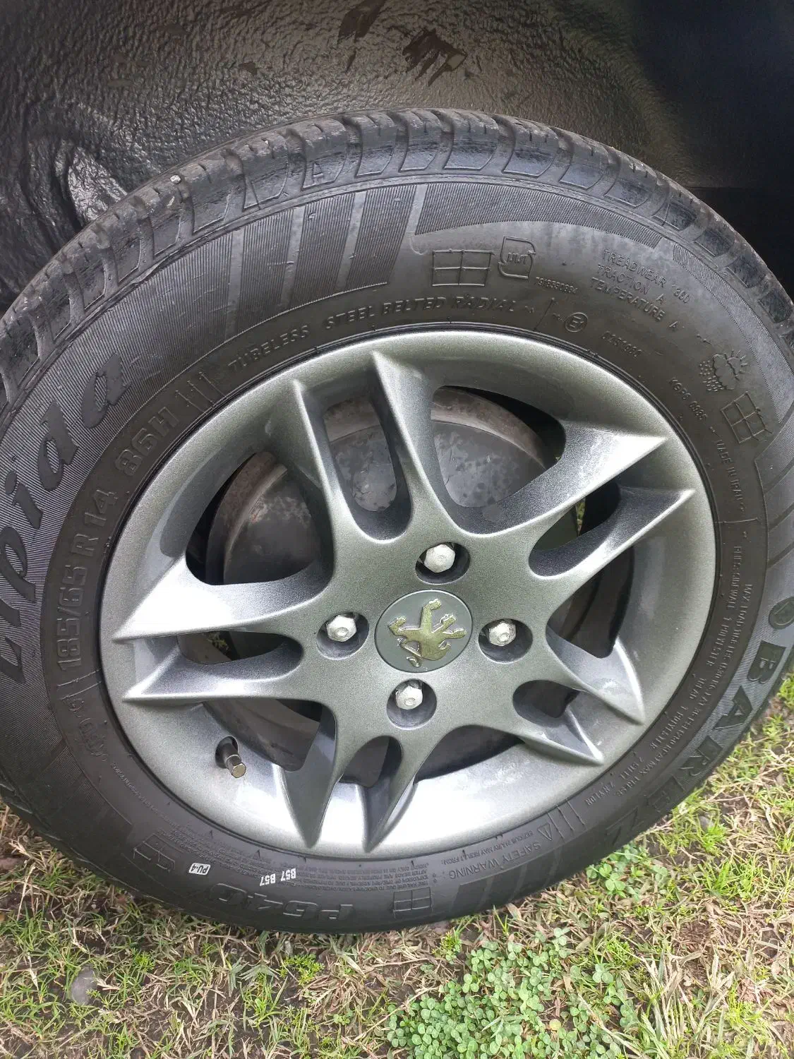 ۴ عدد رینگ اپرت دودی|قطعات یدکی و لوازم جانبی|رشت, کوی مهر|دیوار