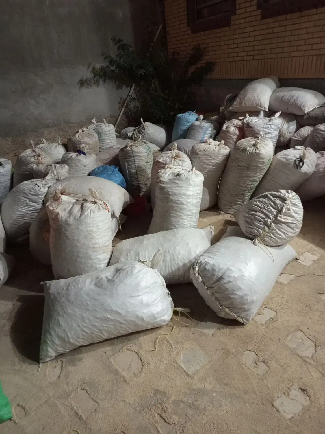 بلوط|عمده‌فروشی|لردگان, |دیوار