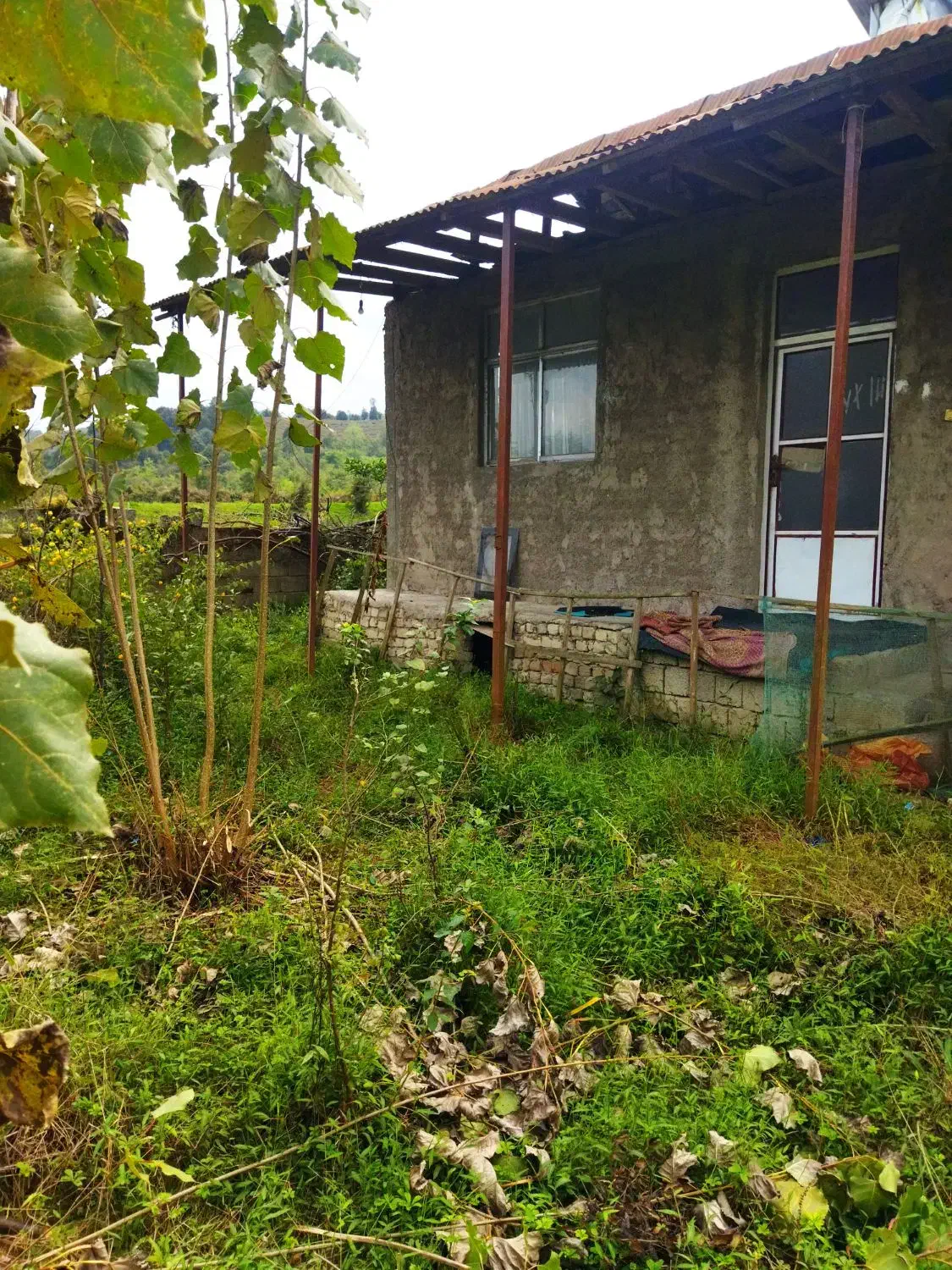 455متر خانه محوطه 65متر بنا تک خواب کوه پایه ای|فروش خانه و ویلا|احمدسرگوراب, |دیوار