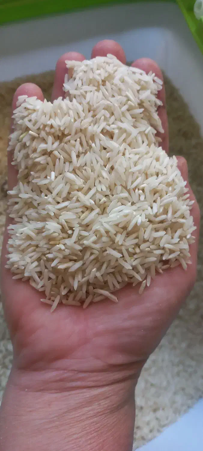 برنج طارم محلی|خوردنی و آشامیدنی|کوهدشت, |دیوار