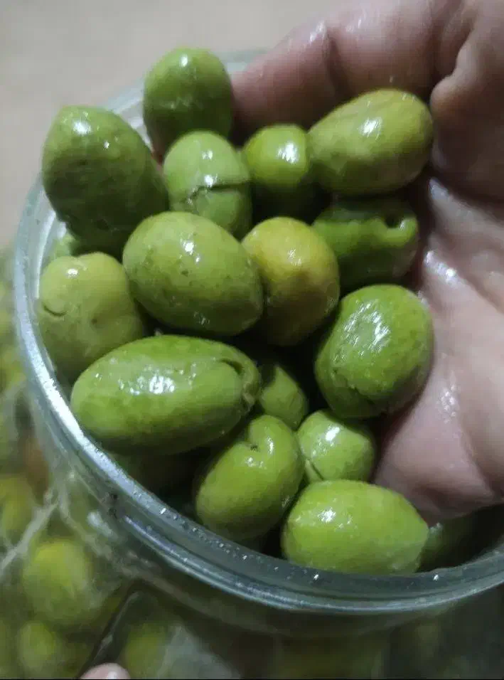 فروش عمده زیتون با پایین ترین قیمت|خوردنی و آشامیدنی|تهران, دریان‌نو|دیوار