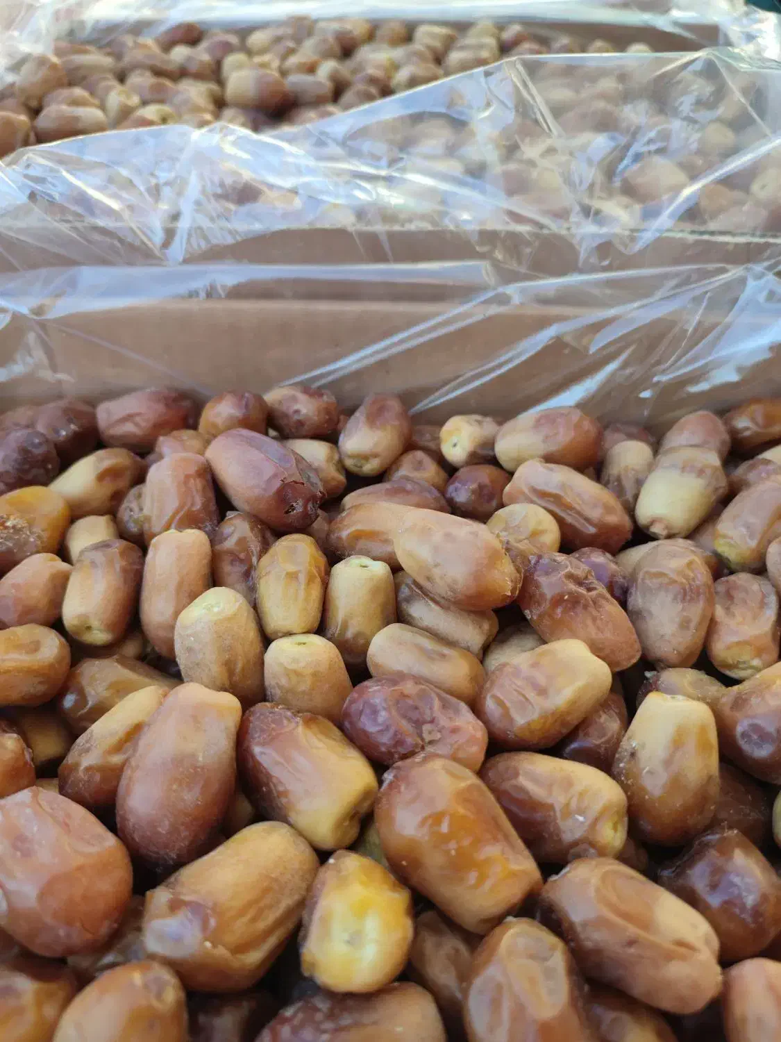 قصب خرما زاهدی|خوردنی و آشامیدنی|جهرم, |دیوار